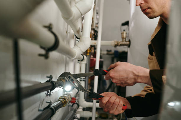 Best Plumbing Services Near Me  in Fruitland, IA
