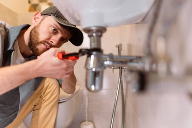 Best Faucet Repair  in Fruitland, IA