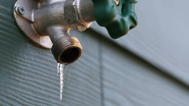 Best Commercial Plumbing Services  in Fruitland, IA