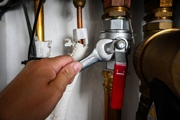 Best Affordable Plumbing Services  in Fruitland, IA